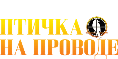 Птичка на проводе