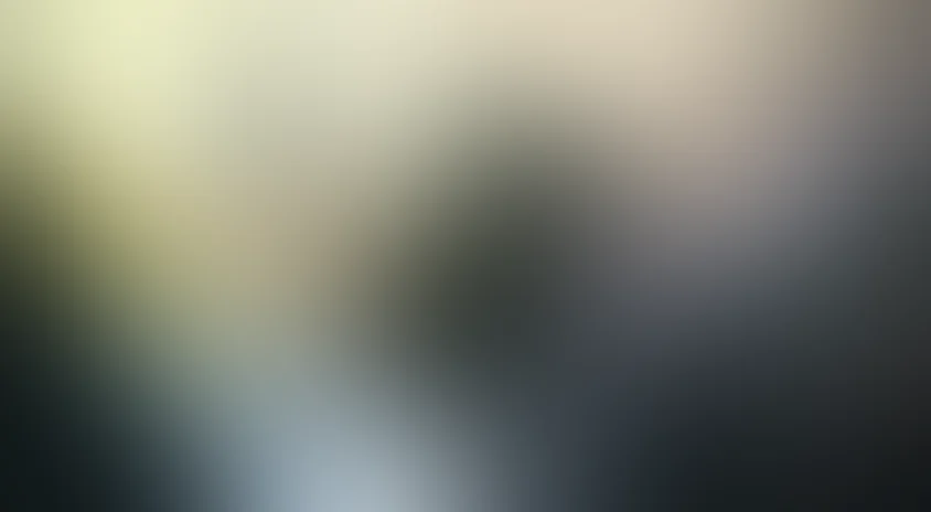 Отчаянные псы