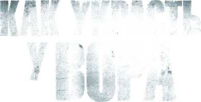 Как украсть у вора (Фильм, 2016)