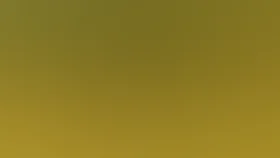 Путешествие муравья