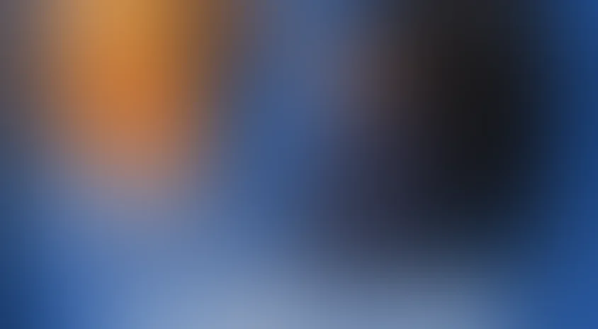 Новая игрушка