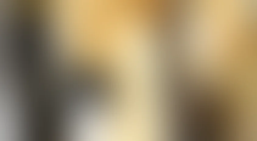 Очень дикие штучки