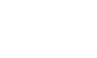 Гонка жизни