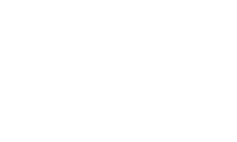 Гонка жизни