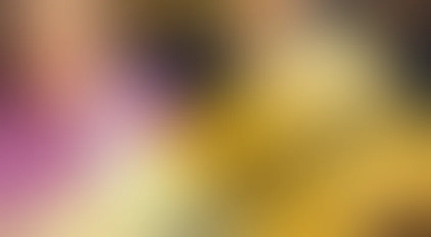 Адвокатессы