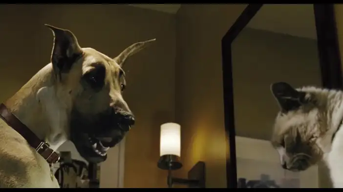 Трейлер (дублированный)