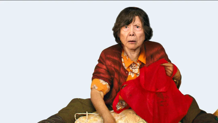 Телохранитель бабушки