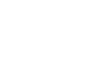 Добро пожаловать к Райли