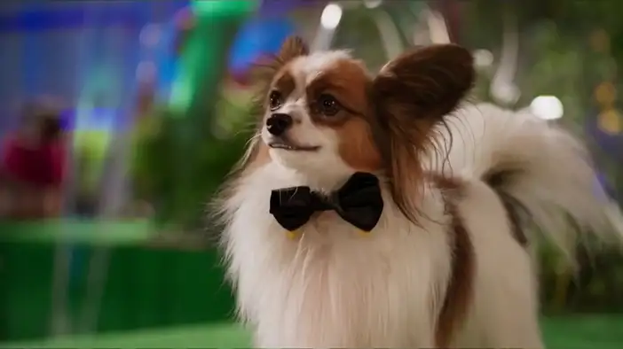 Трейлер (дублированный)