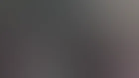 Путешествие с домашними животными