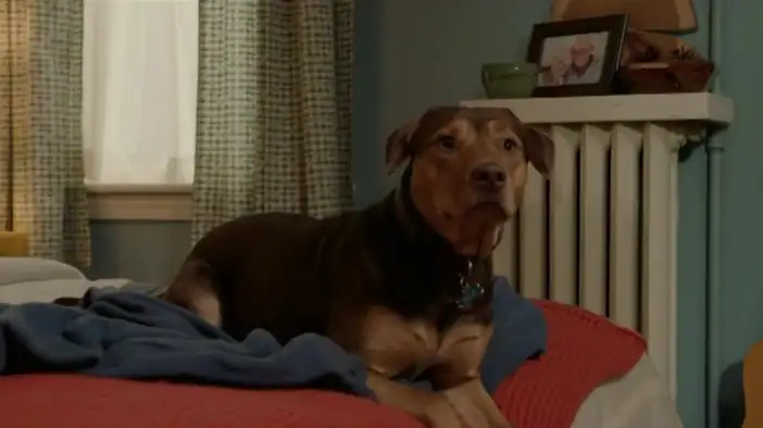 Трейлер (дублированный)