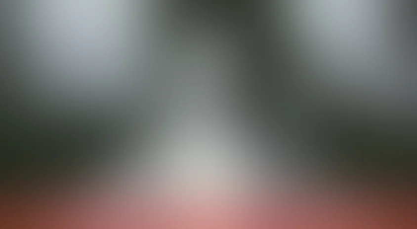 Дипломная работа