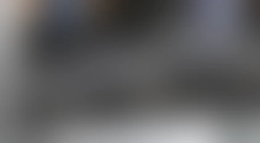 Шоу начинается