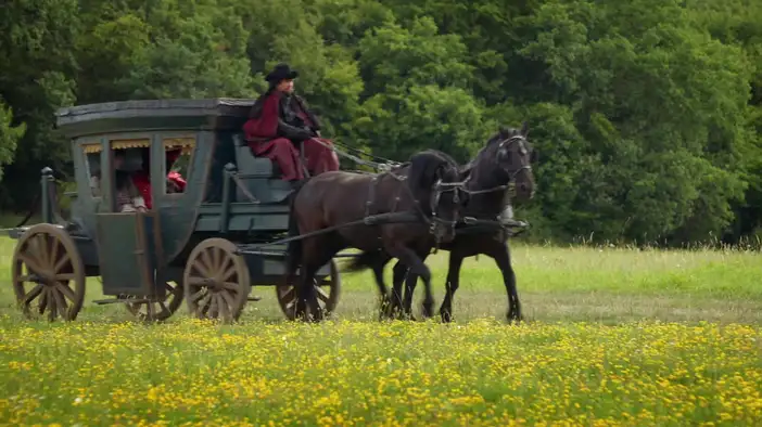 Трейлер (дублированный)