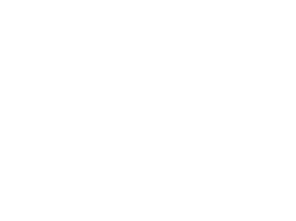Пингвины моей мамы