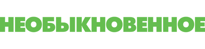 Необыкновенное Рождество Зои