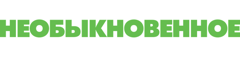 Необыкновенное Рождество Зои (Фильм, 2021)