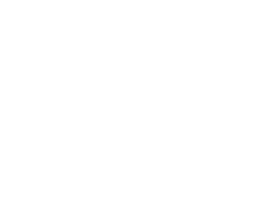 Голос Вессема