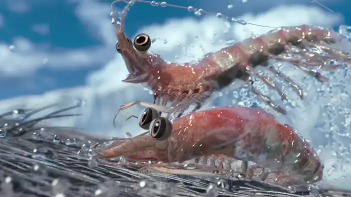 Фрагмент (английский язык)