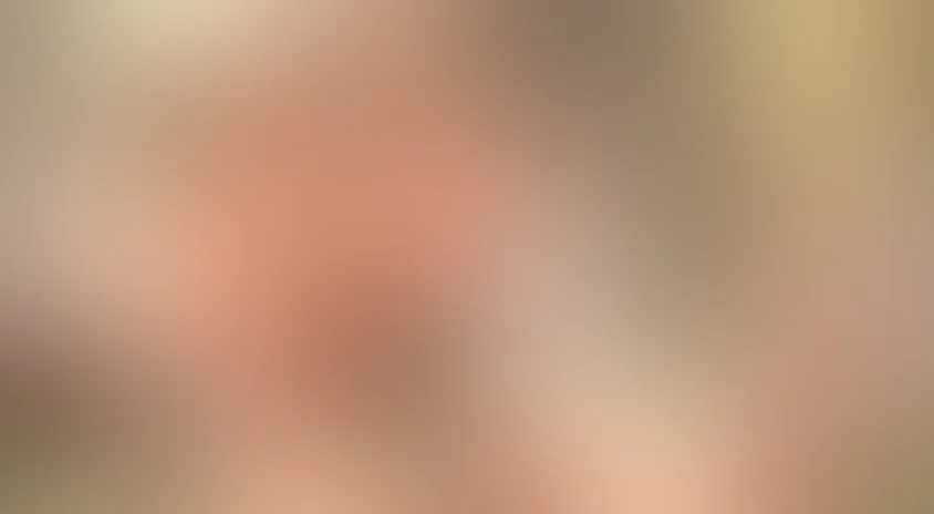 Приключения мастера кунг-фу