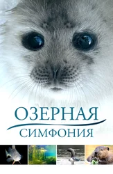 Озёрная симфония