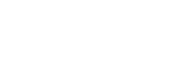 Коньки для чемпионки