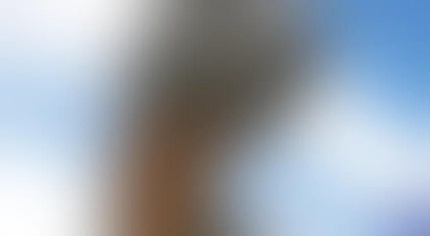 BBC: Прогулки с динозаврами