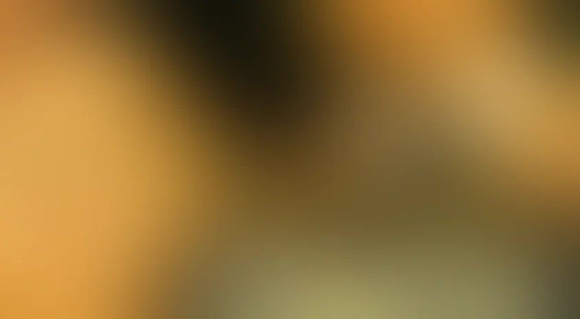 Приваловские миллионы