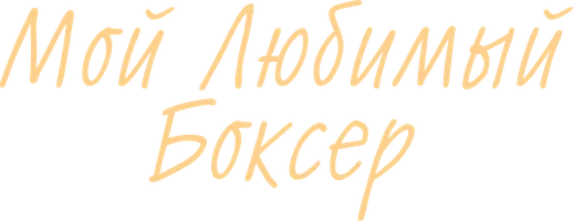 Мой любимый боксёр