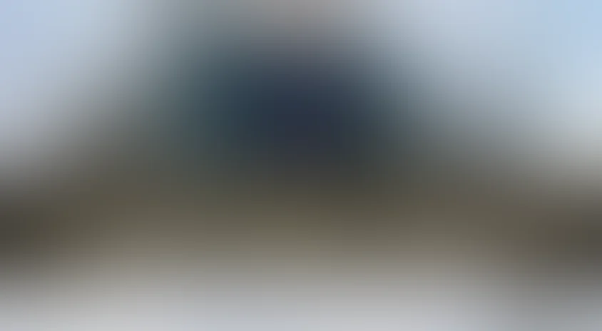 Сердце капитана Немова