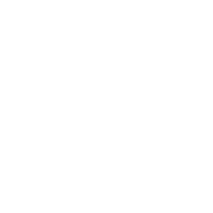 МИР