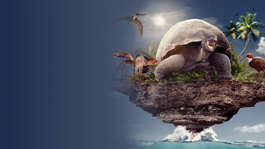 Альдабра. Путешествие к таинственному острову