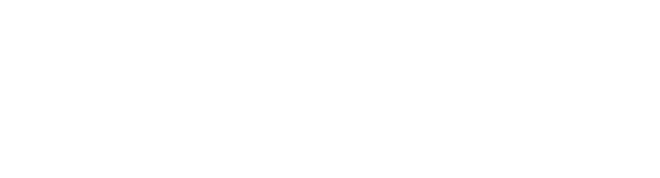 Новогодние традиции разных стран. Кобяков