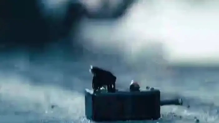 Фрагмент 2 (дублированный)