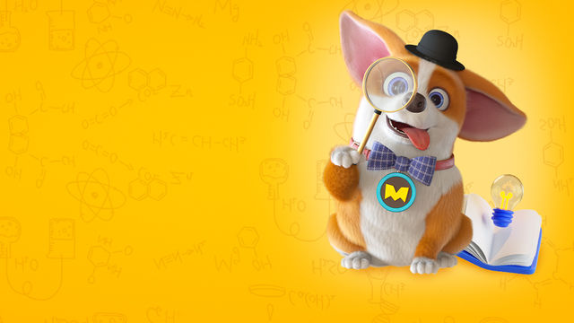 Корги по имени Моко. Заветные мечты