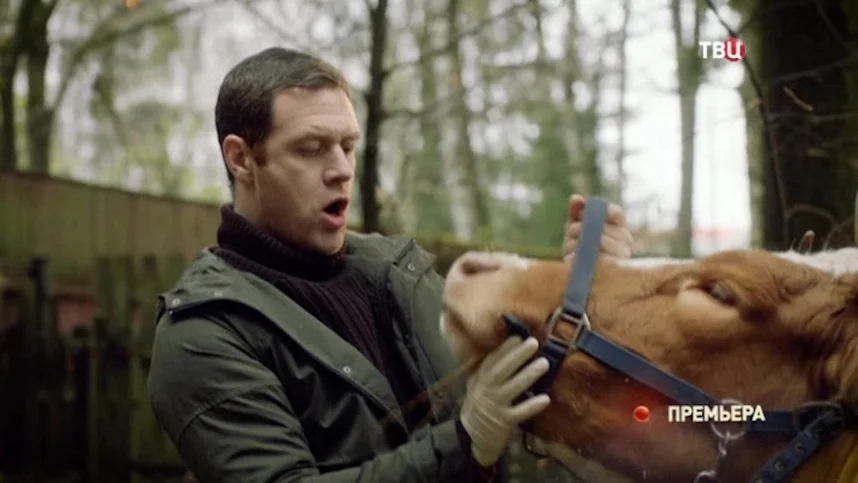 Доктор Котов