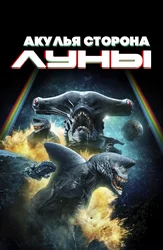 Акулья сторона Луны