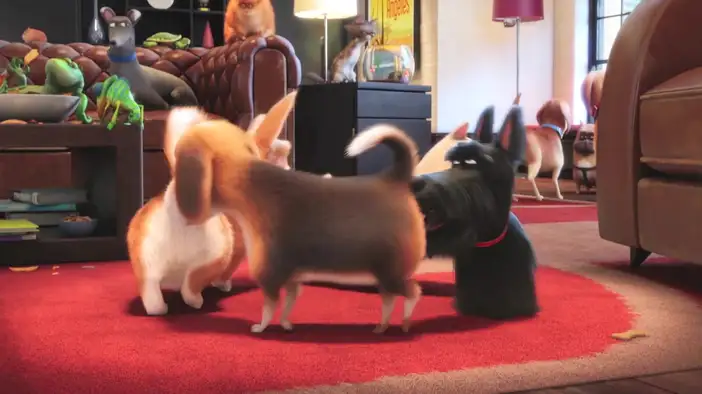 Превью трейлера (дублированный)