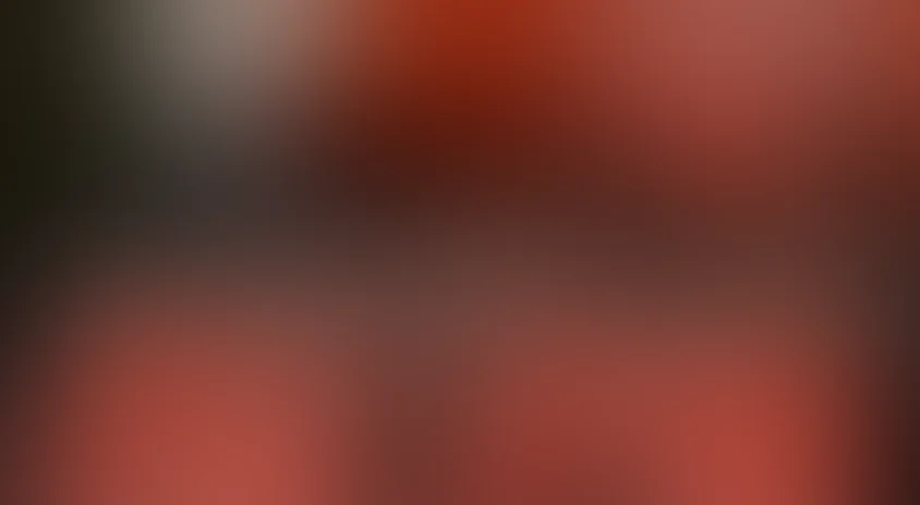 Игра без правил (2004)