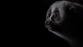 Сила природы