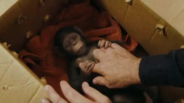 ТВ-ролик 4 (английский язык)