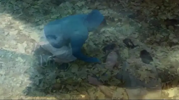 Трейлер (русский язык)