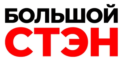 Большой Стэн (фильм 2007)