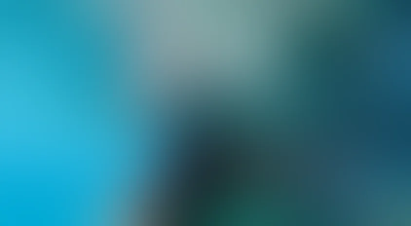 BBC: Большая белая акула