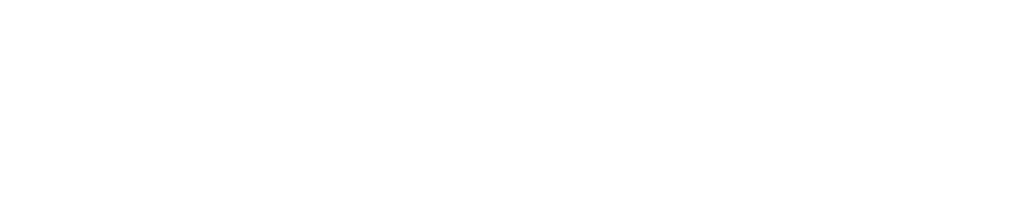 Укротители скорости