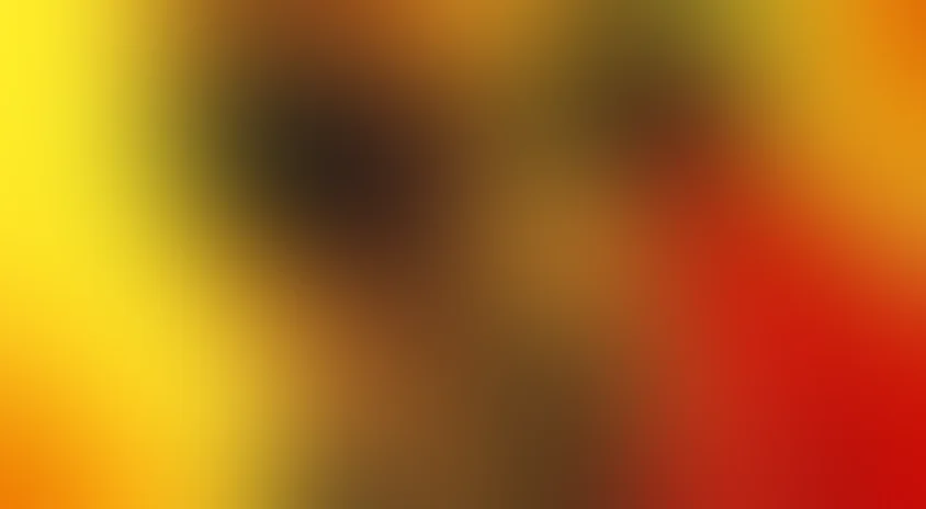 Кенгуру Джекпот