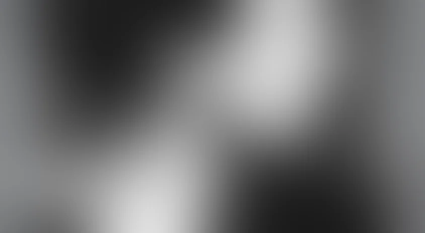 Личное дело Анны Ахматовой