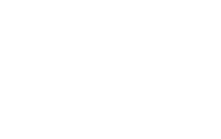 Банда «ЗИГ ЗАГ»