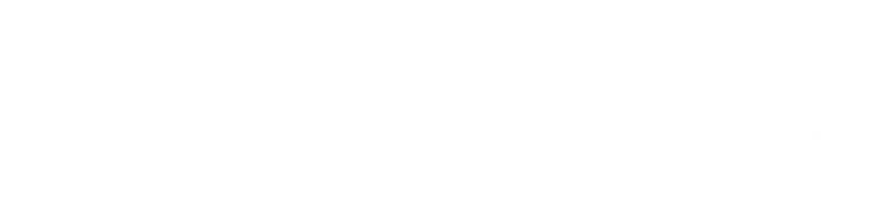 Миссия: Неадекватна