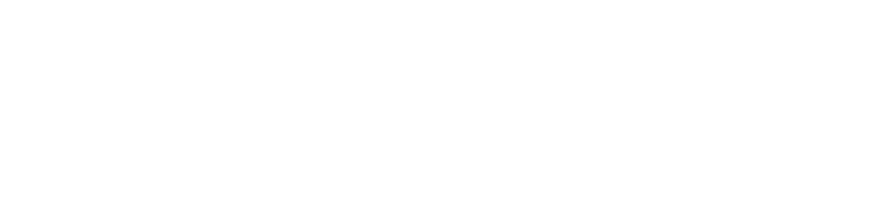 Миссия: Неадекватна (Фильм, 2016)